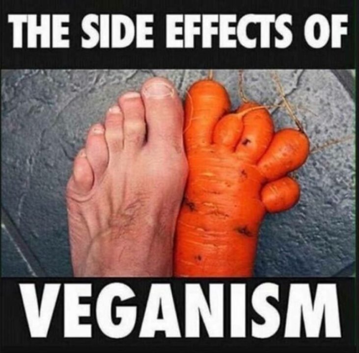 vegan.thumb.jpg.bcad45047f32880aa51ed7de1576a1b2.jpg