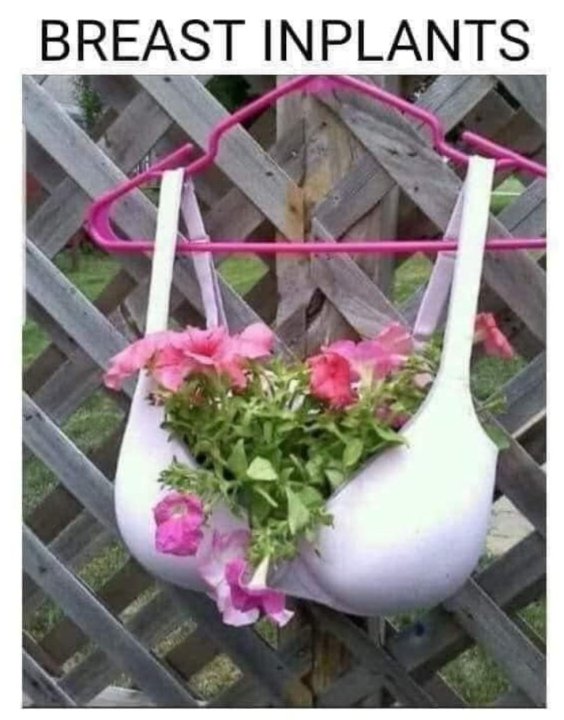 Borstimplantaten.thumb.jpg.c64911fb13754d5401e11058b35f50a0.jpg