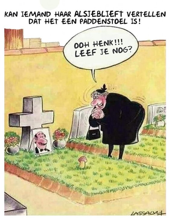 paddenstoel.thumb.jpg.f7e21a80628db70d3583792516a559ab.jpg