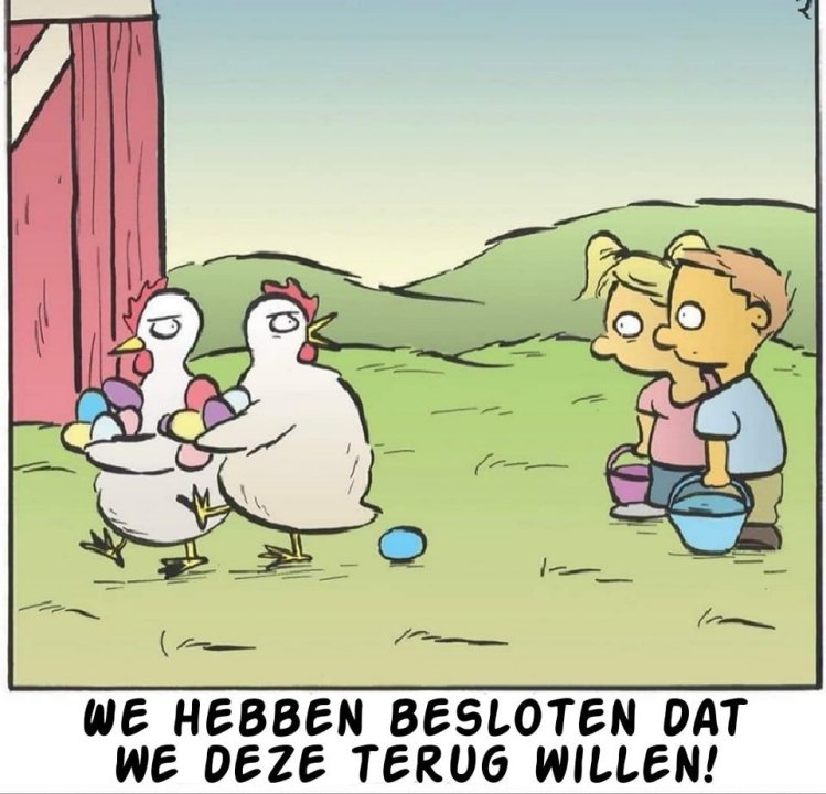 Willen eieren terug.jpg