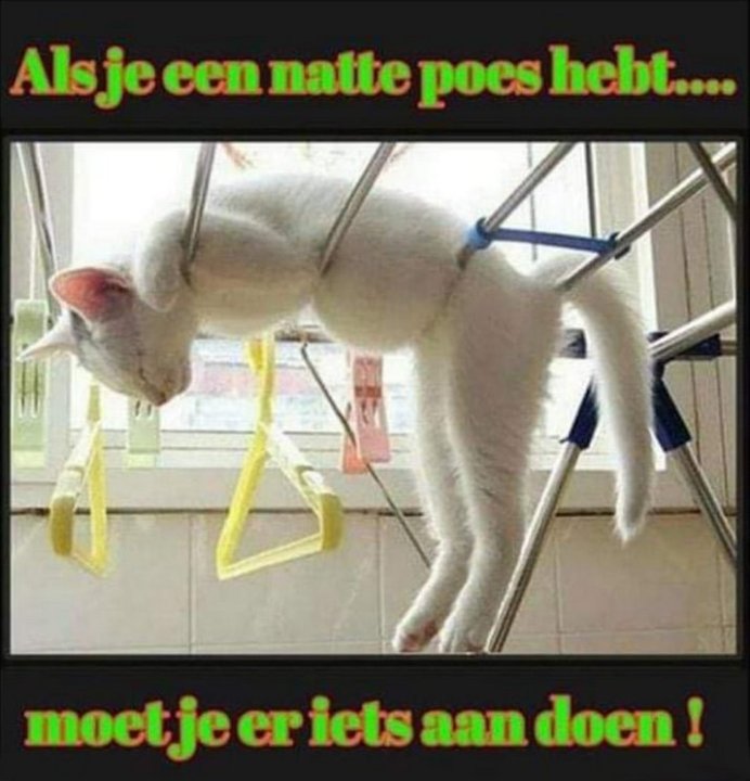nattepoes.thumb.jpg.e65013db7b38b3ec54d1a896e0dface3.jpg