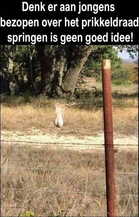 bezopenoverprikkeldraad.thumb.jpg.a840fe1836bf2eca59743f076c6ff039.jpg