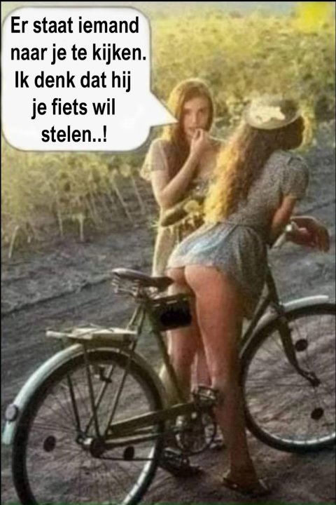fietsstelen.thumb.jpg.9d95695a5bb55af3398c36838078712d.jpg