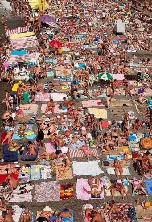 Vakantie.thumb.jpg.582e6b0bfb4b4ba03fab3dd796023d3f.jpg