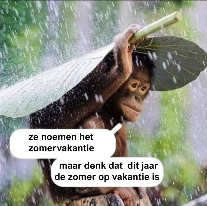 zomervakantie.thumb.jpg.9038c7b505524e6b7d3634d74380f147.jpg