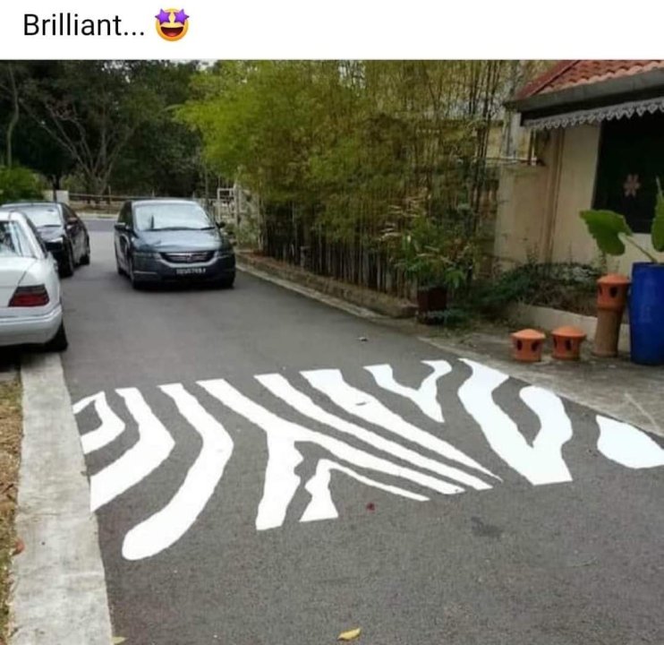 Zebrapad.jpg