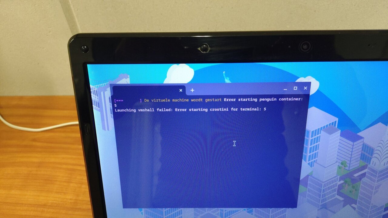 20250228_164331333.JPG