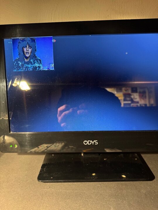 alleen PIP op de monitor.jpeg