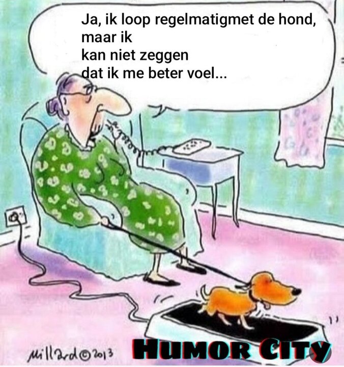 Bomma hond wandelen.jpg