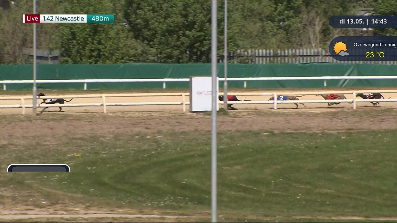 GCUK Enc 31_20250513144316.jpg