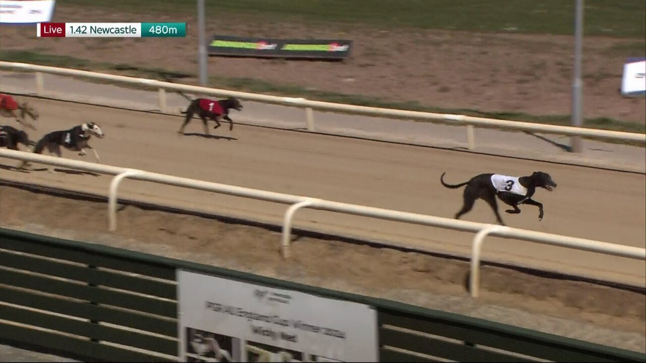 GCUK Enc 31_20250513144323.jpg