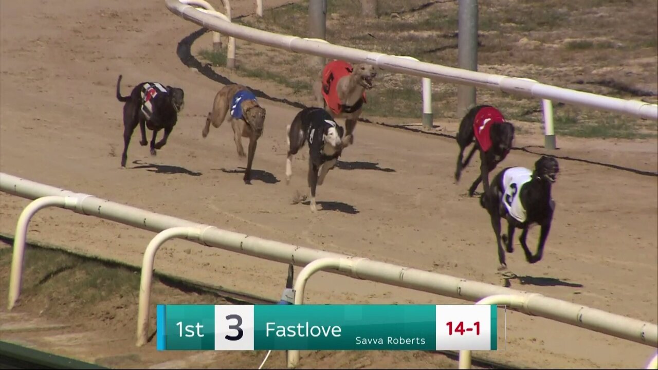 GCUK Enc 31_20250513144342.jpg