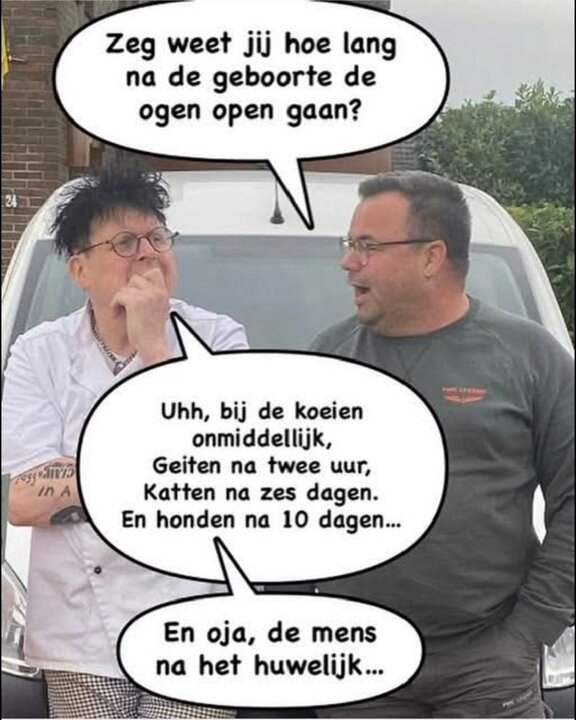 Huwelijk & ogen.jpg