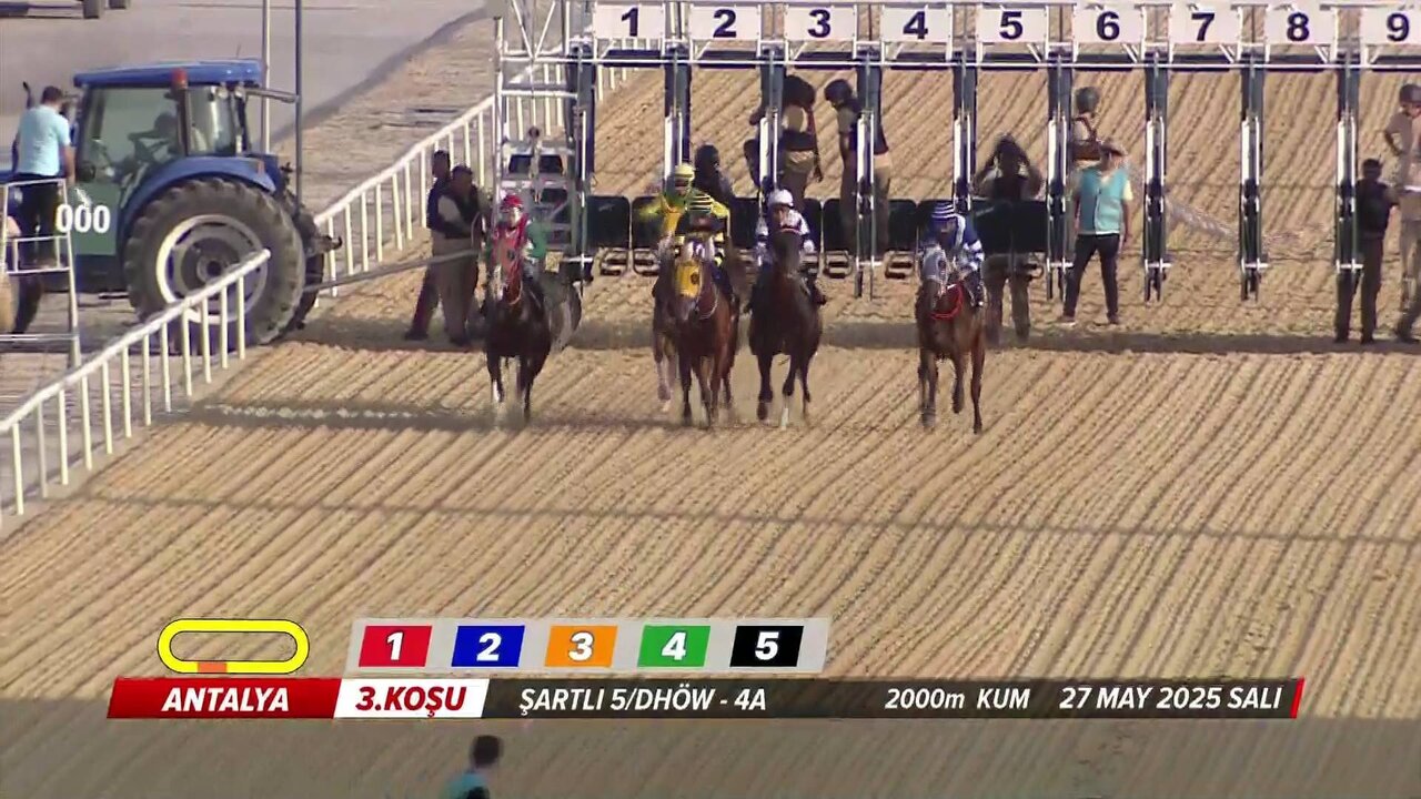 MMP OB006_BACKUP_0160 12713_H_3615_20250527_173644.jpg