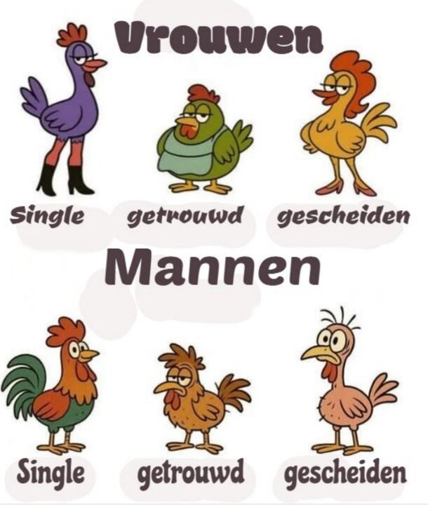 verschiltussenmannenenvrouwen.thumb.jpg.c6503b87df88f505d65f015c83f8d4ab.jpg