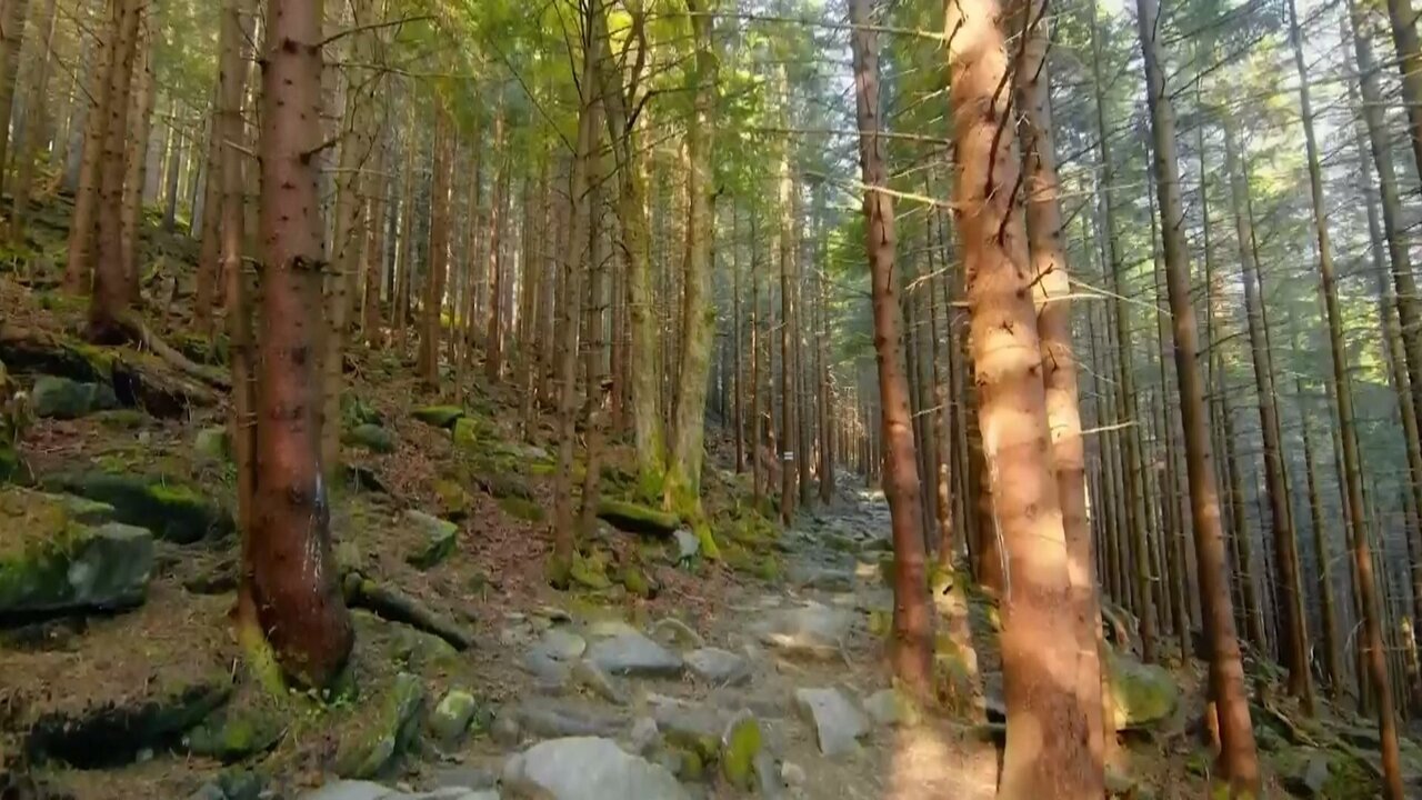 Service 01_20250705163733.jpg