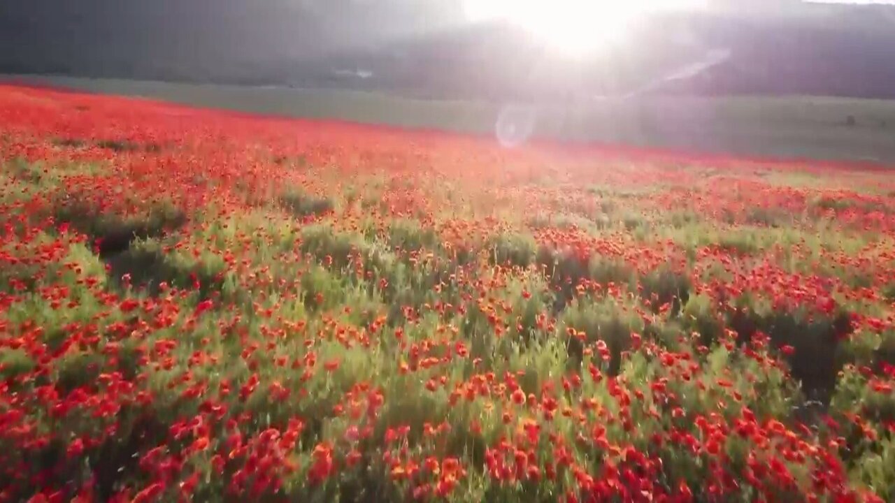 Service 01_20250705163844.jpg