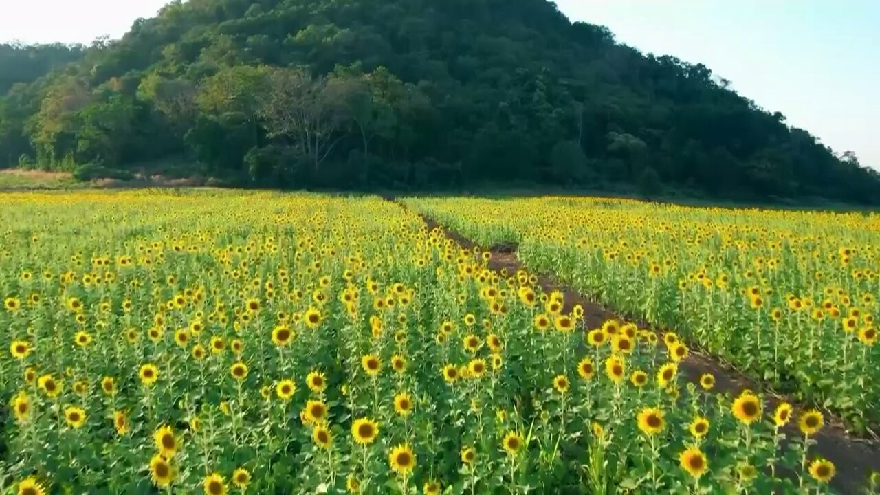 Service 01_20250705163911.jpg