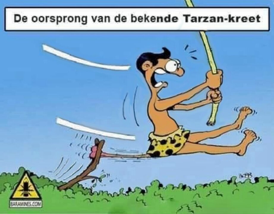 tarzan.thumb.jpg.8ae79a0754de7de41509432c13064a92.jpg