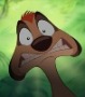 timon