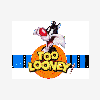 looney2